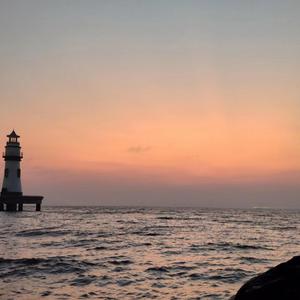 A级成人毛片视频
